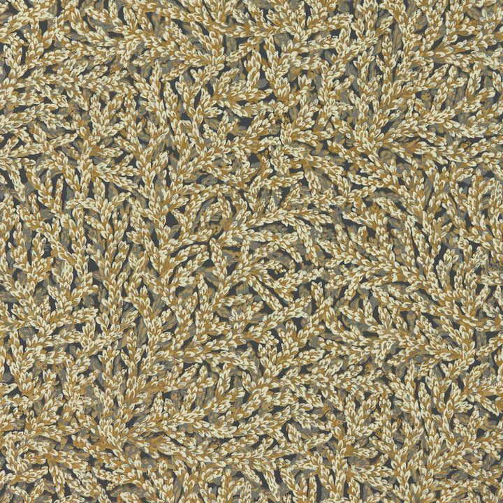 Nootka - Antique Gold