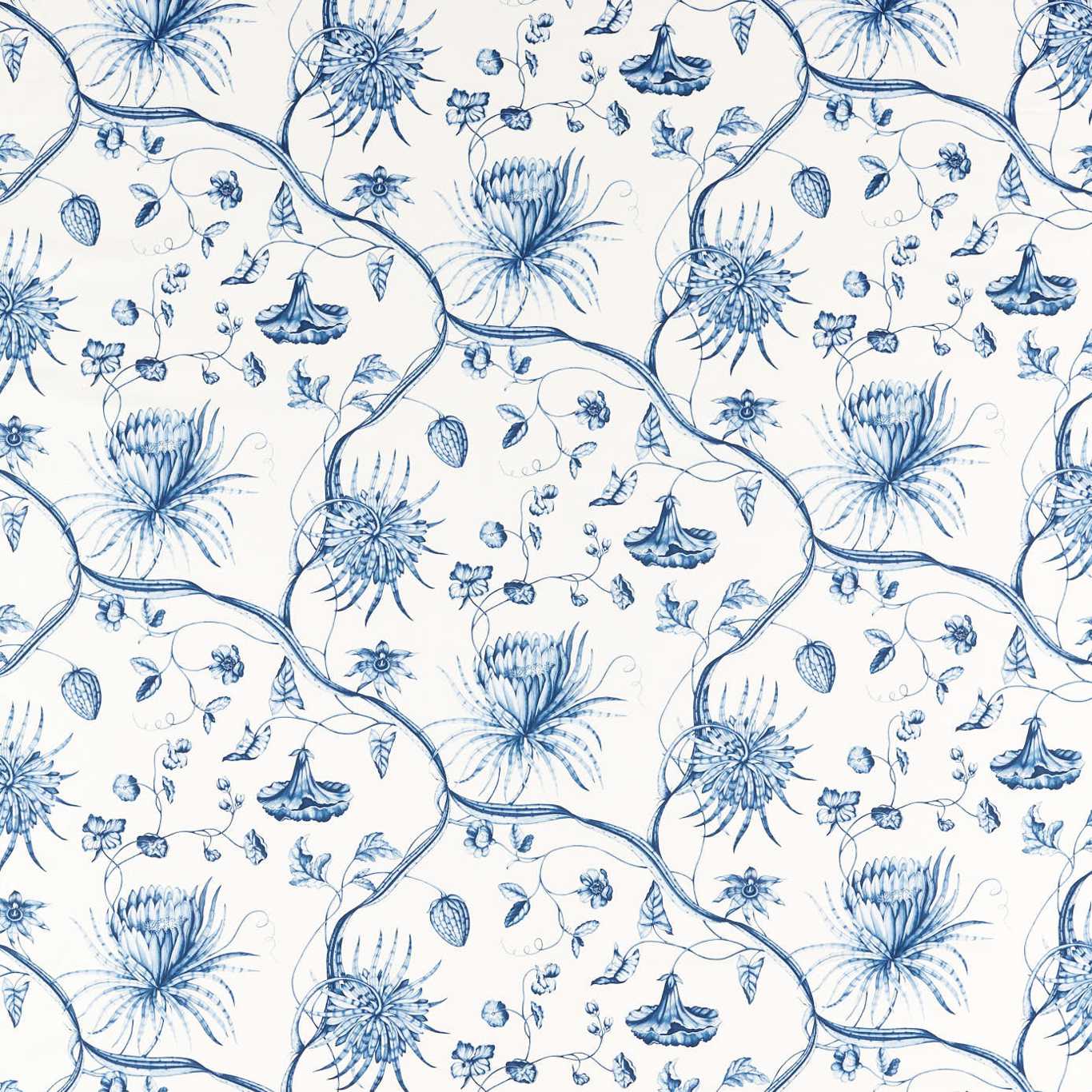 Phaedra Toile - Indigo