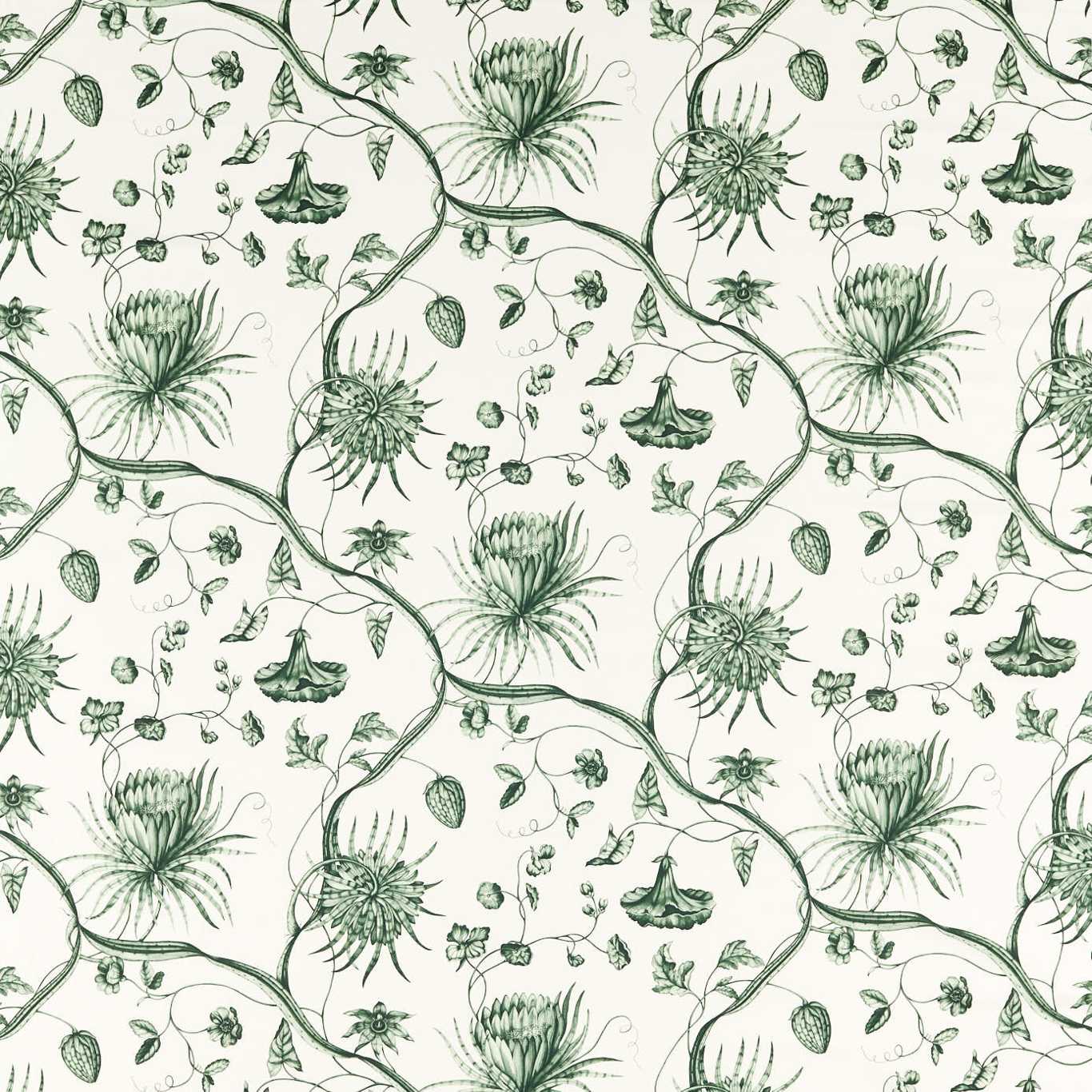 Phaedra Toile - Huntsmans Green
