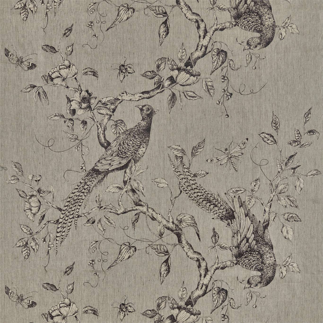 Darnley Toile - Empire Grey