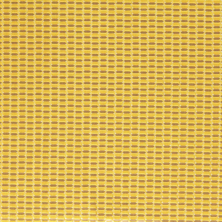 Domino Trellis - Tigers eye