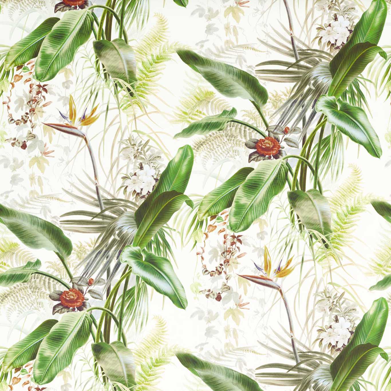 Paradise Row Wallcovering - Evergreen