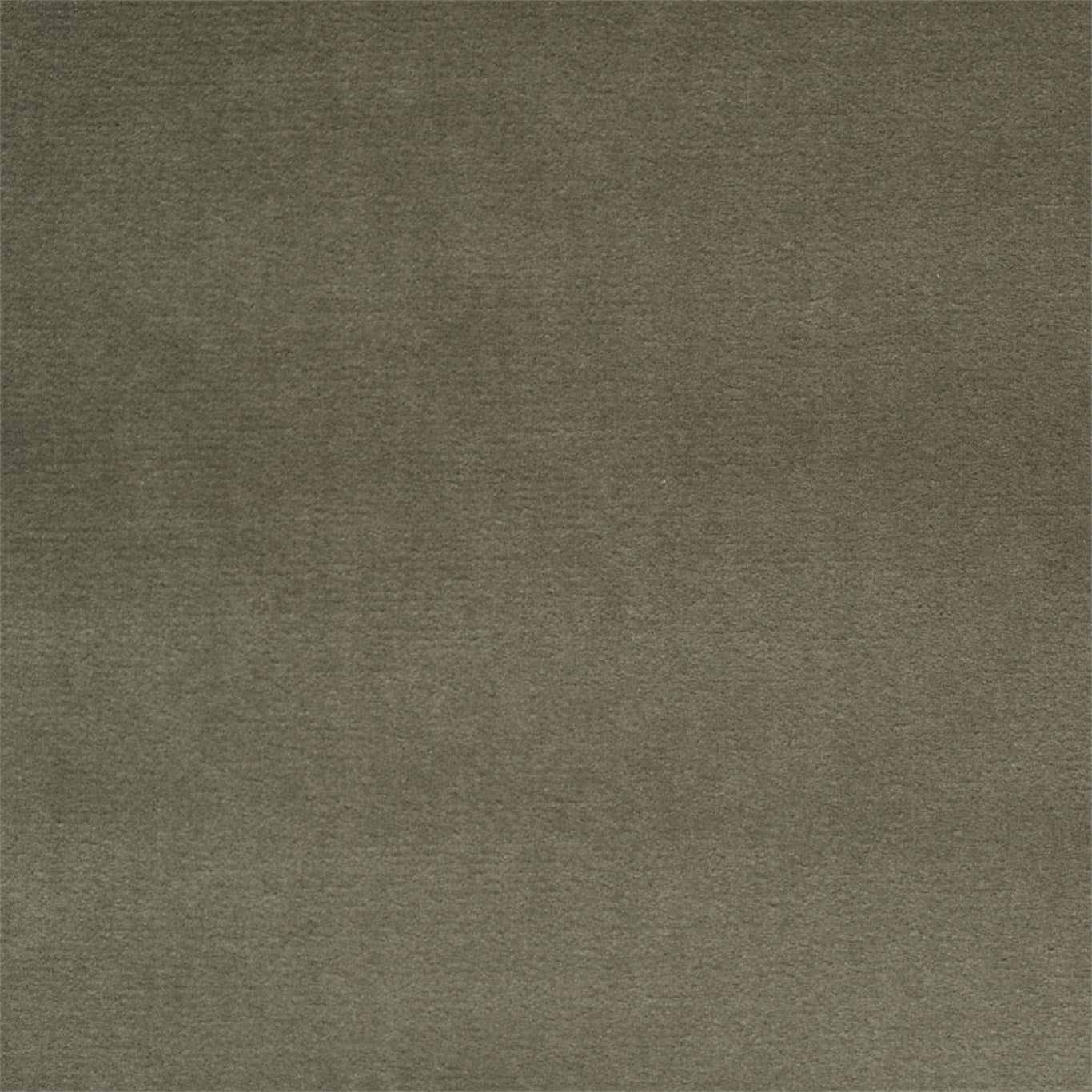 Quartz Velvet - Antique Linen