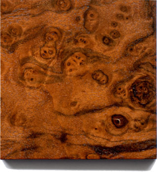 Limited - No. 905 American Walnut Burl