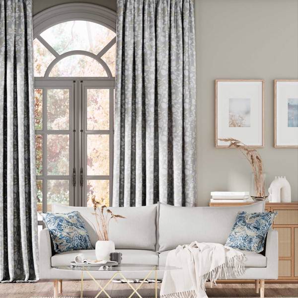 Ardisia - Diffused Light