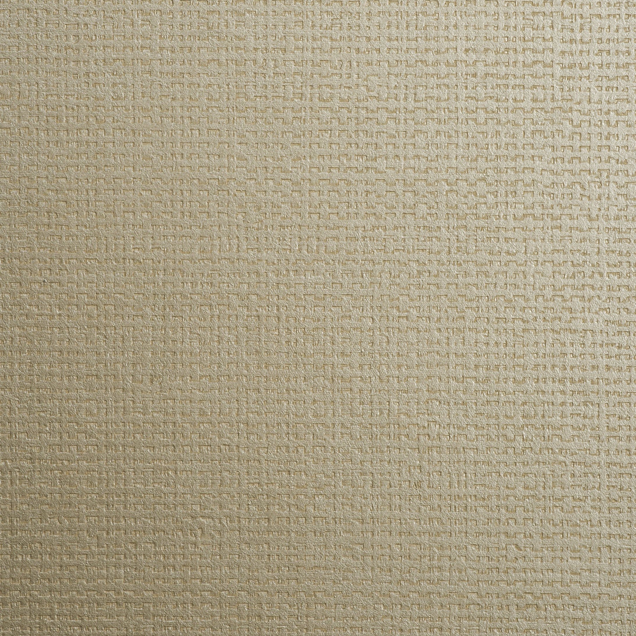 Olan - Champagne  OLA-84