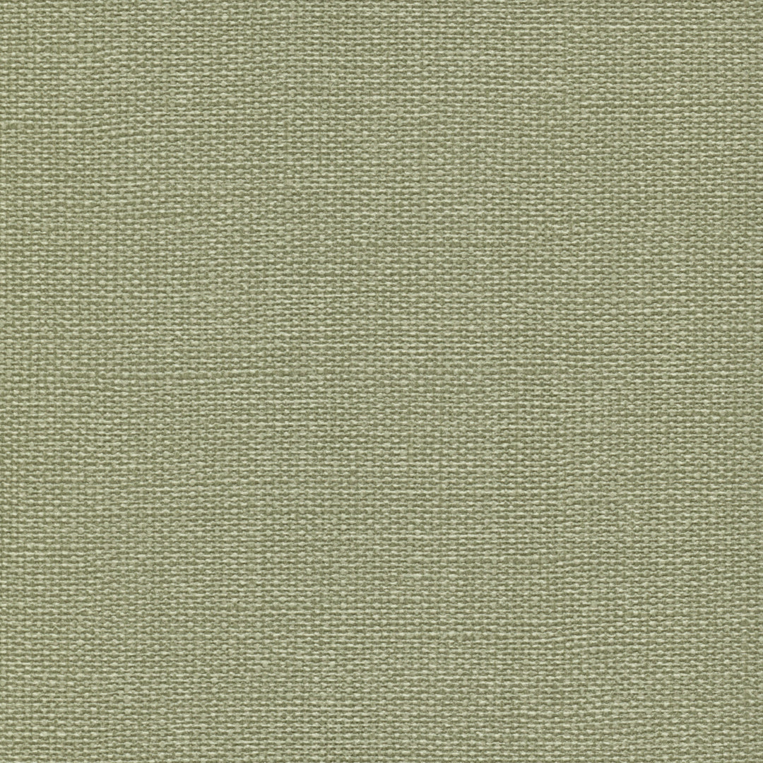 Carolina - Field  CAR-62