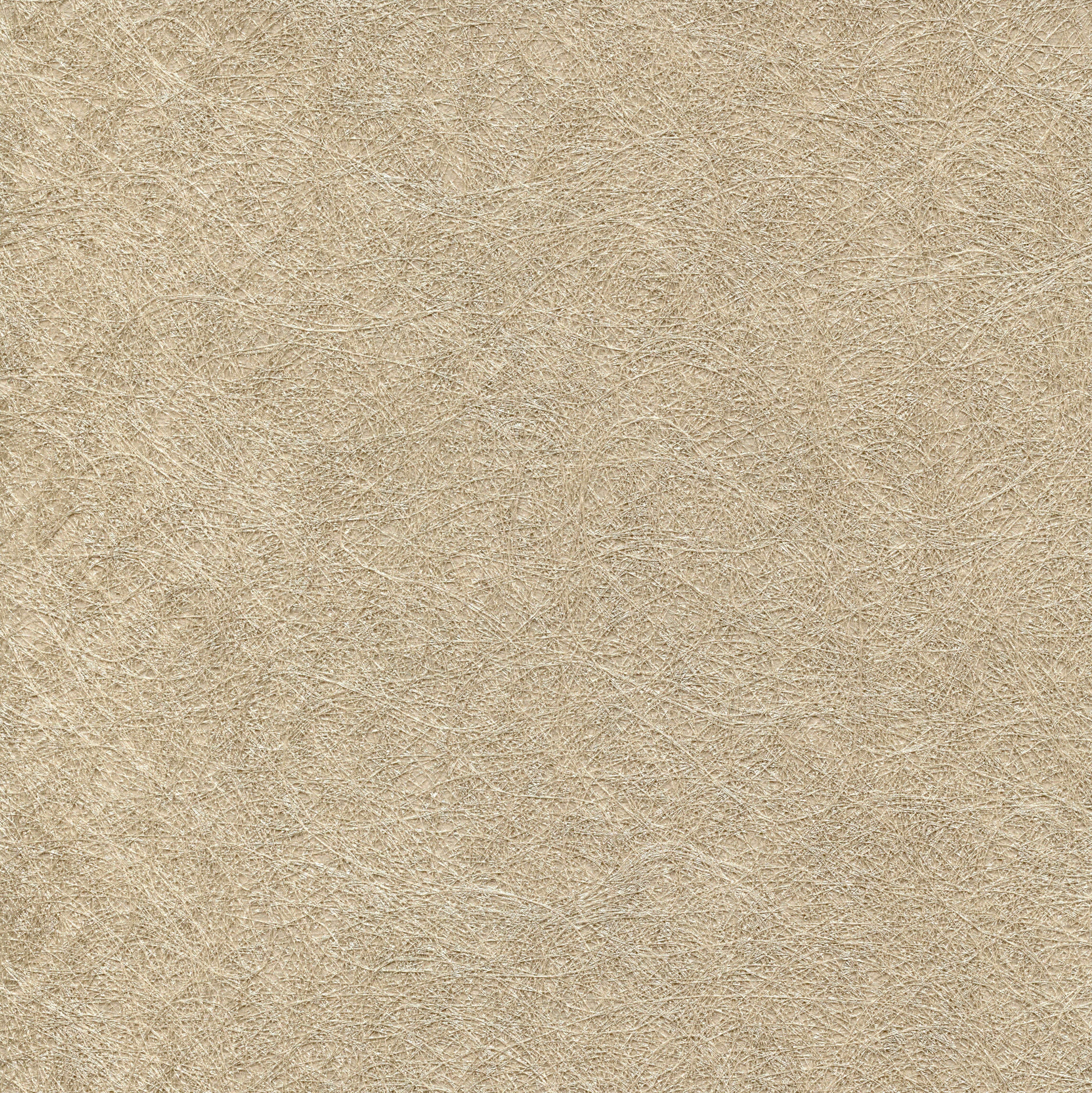 Capelli - Canopy  CAP-13