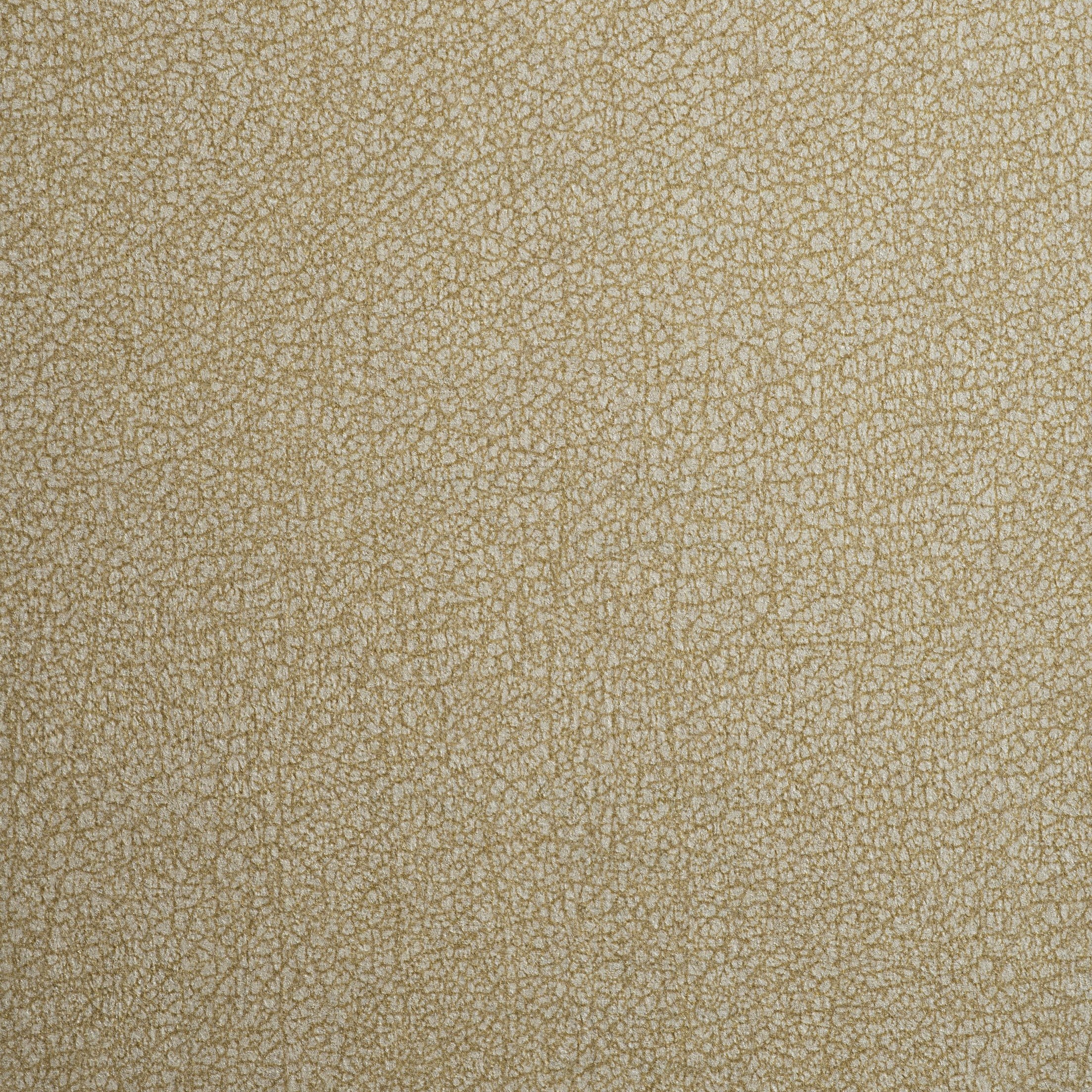 Gallen - Biscotti  GLN-04