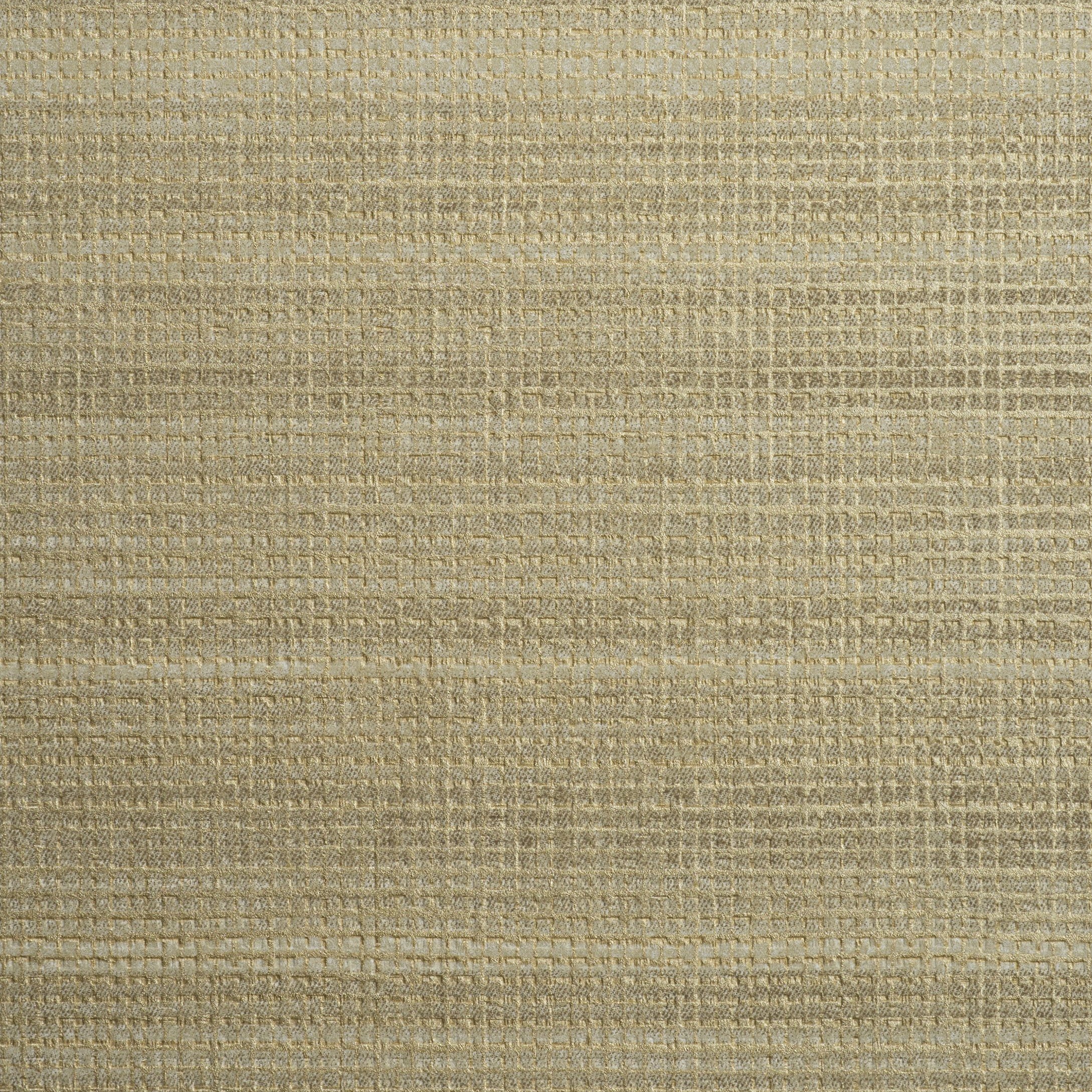 Gavia - Ginger Root GAV-77