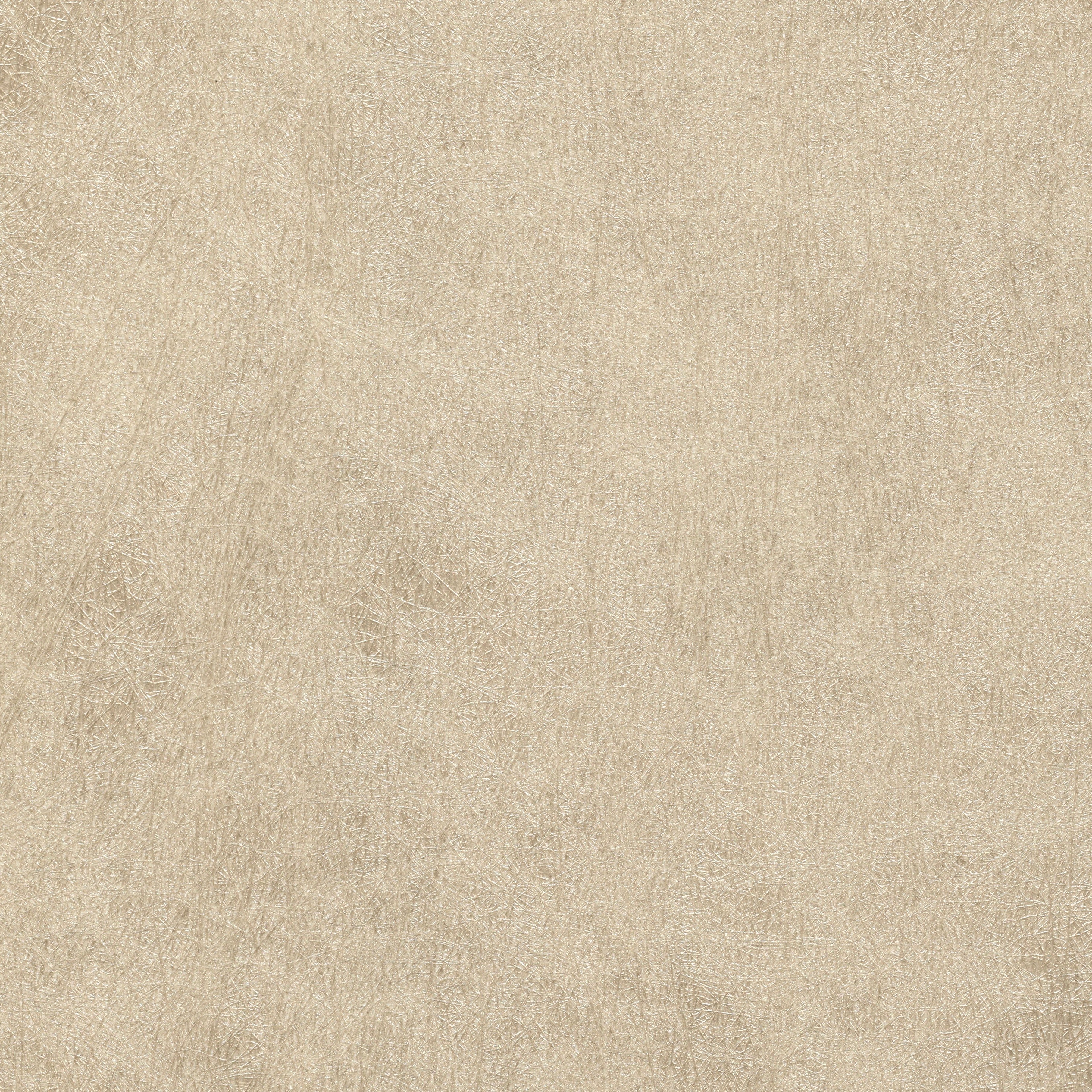 Cielo - Fossil  CIE-33