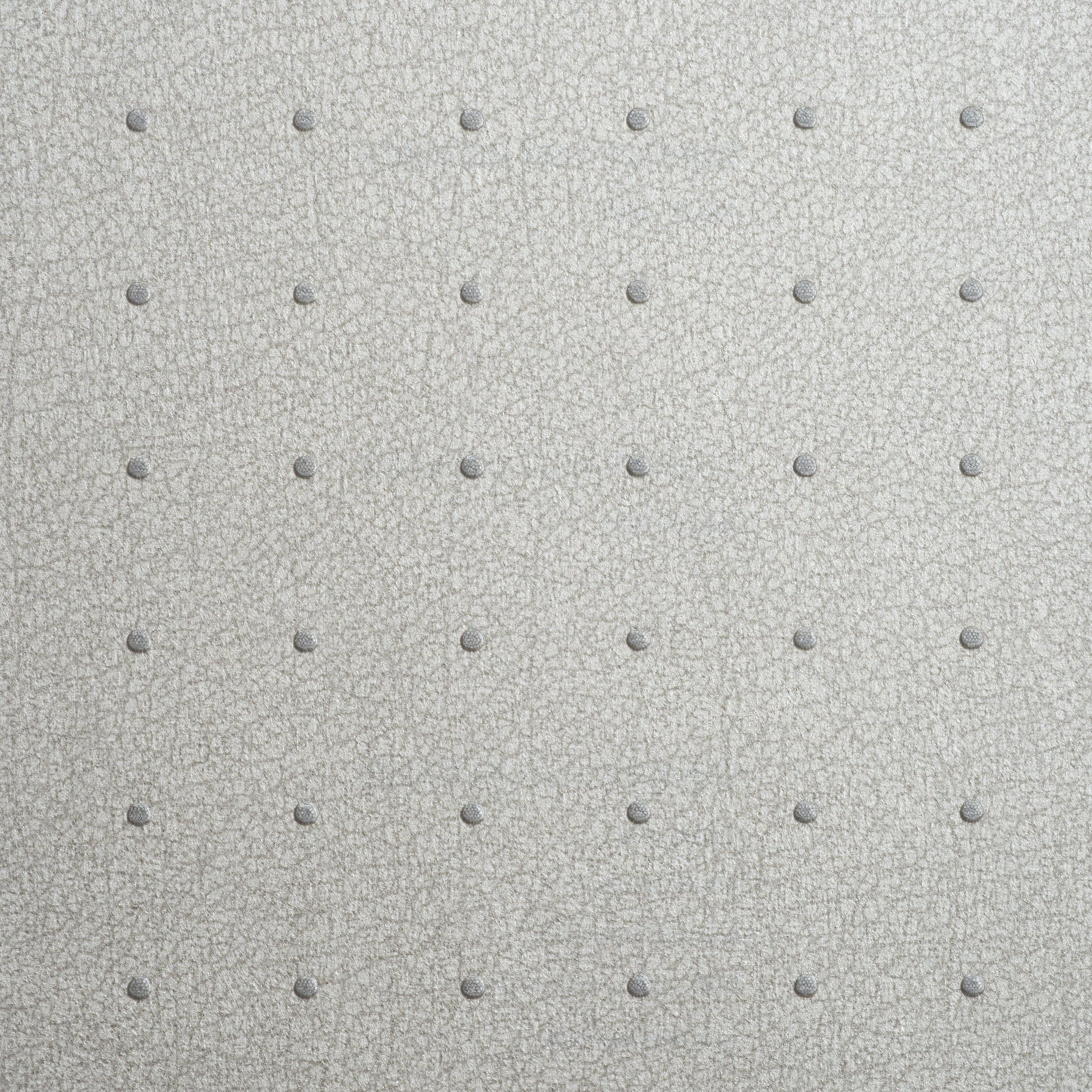 Rivets - Polar  RIV-81