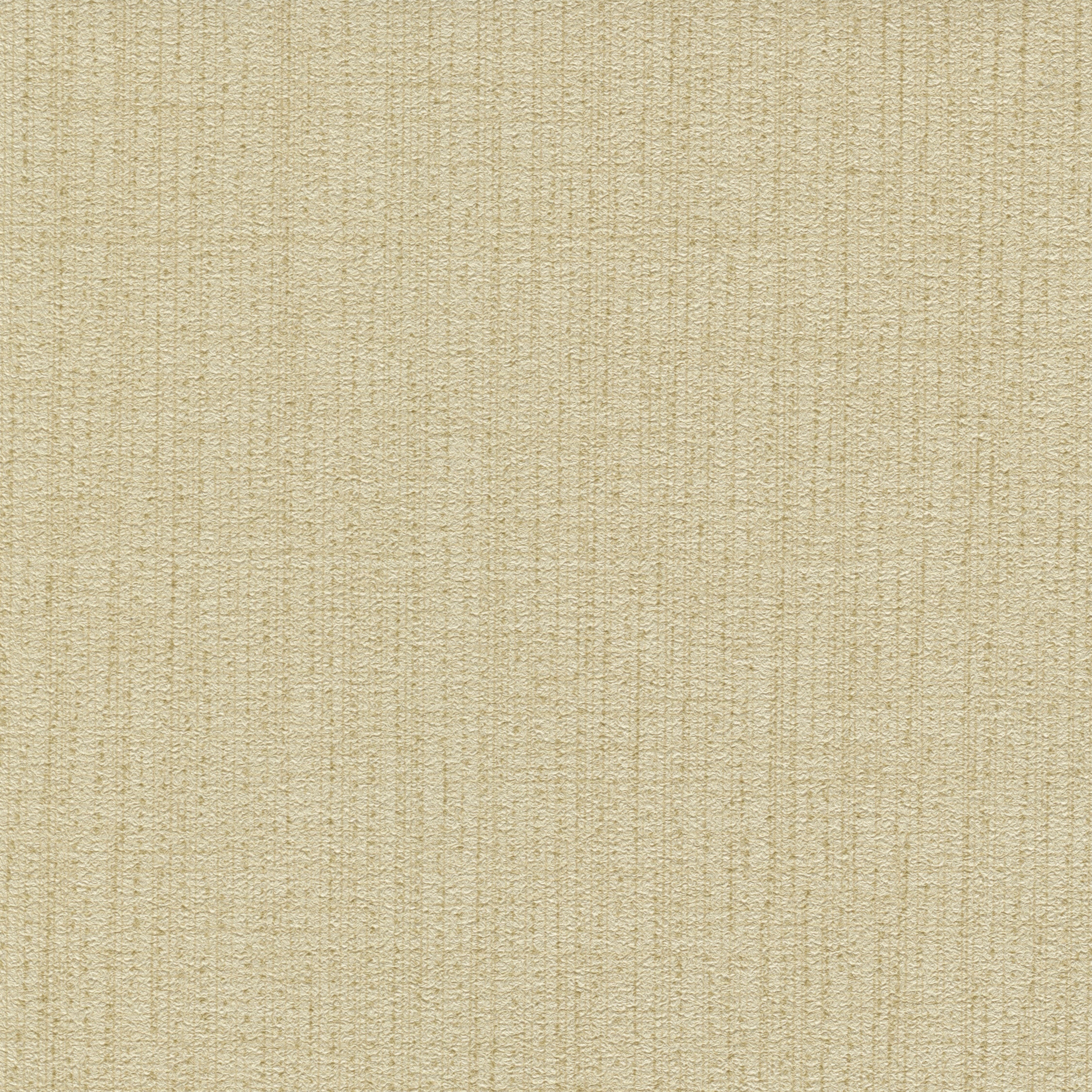 Mission - Biscotti  MSN-45