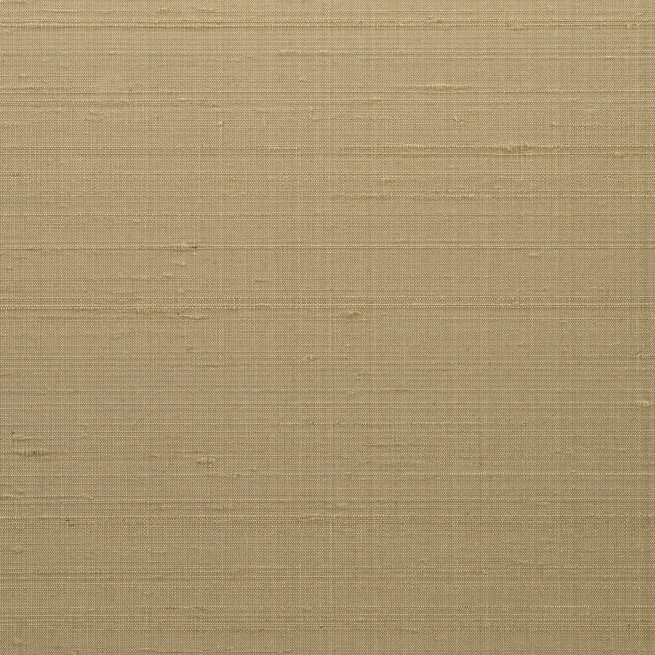 Shimla - Camel  SLA-65