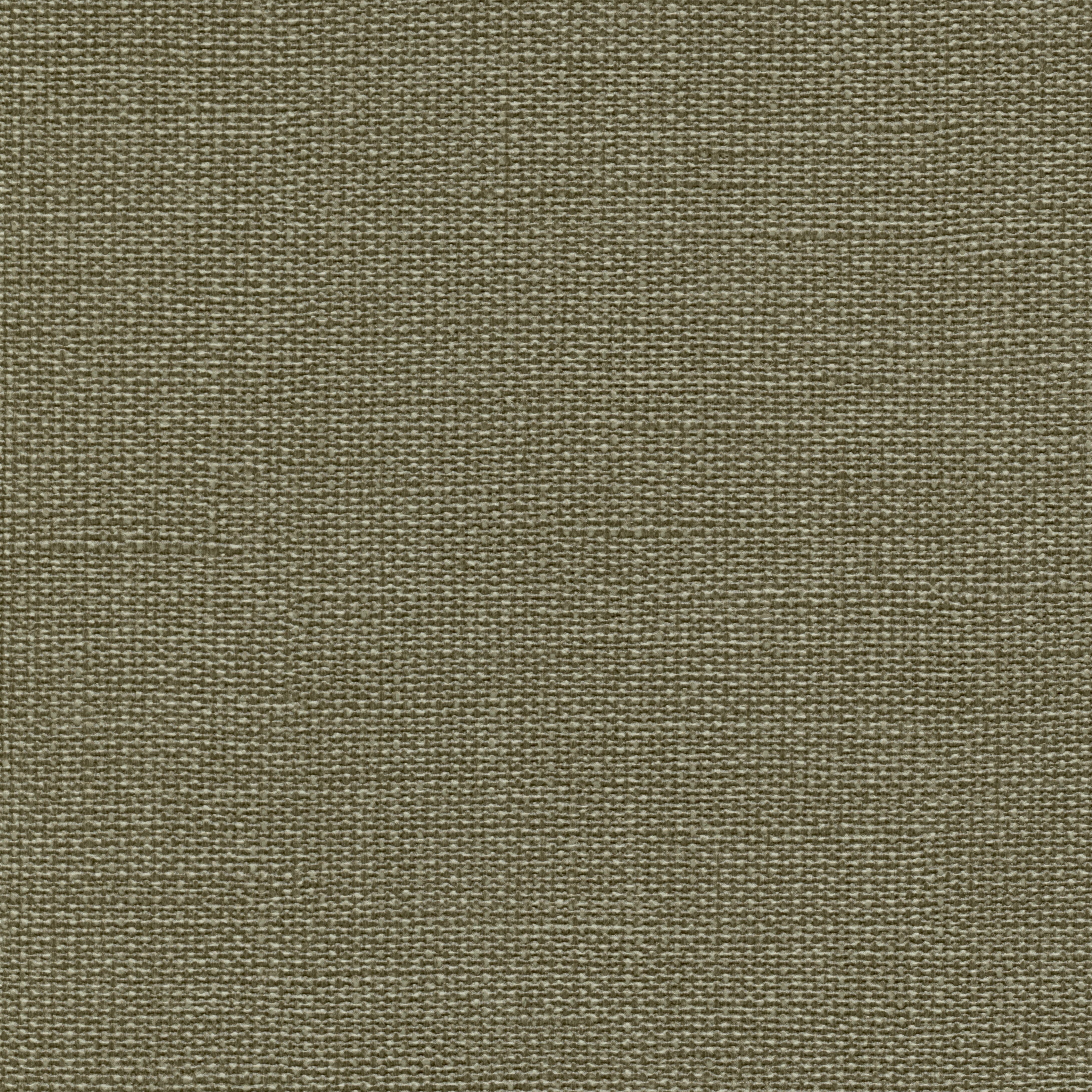 Carolina - Tweed  CAR-47