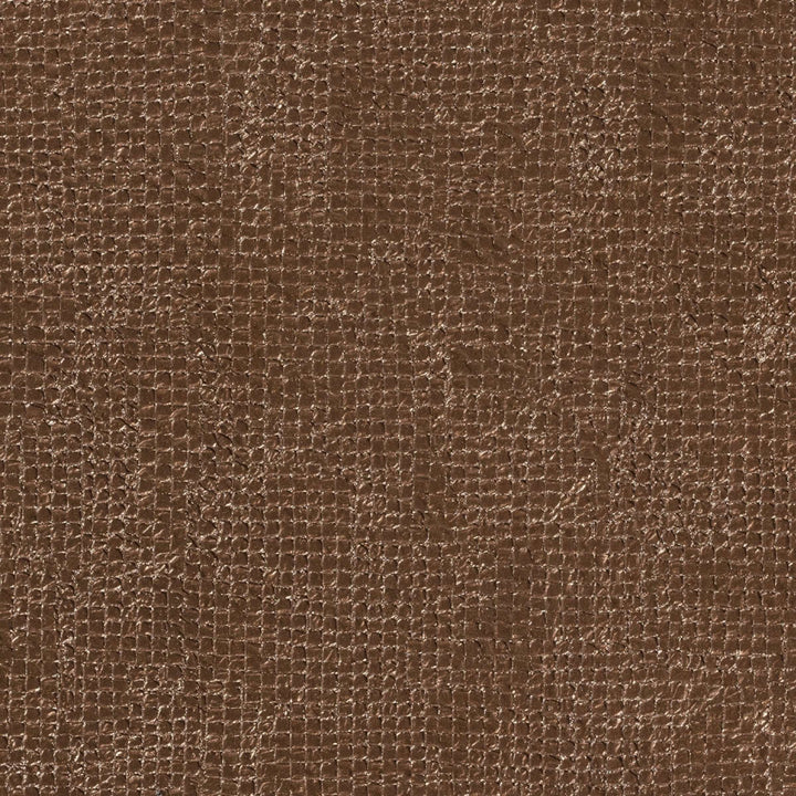 Scintiller De Mille Feux - CV 121 94