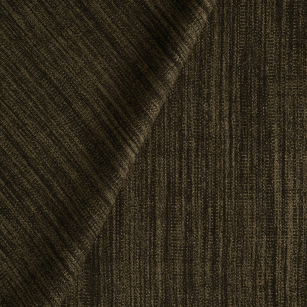 Boardwalk - Terrapin