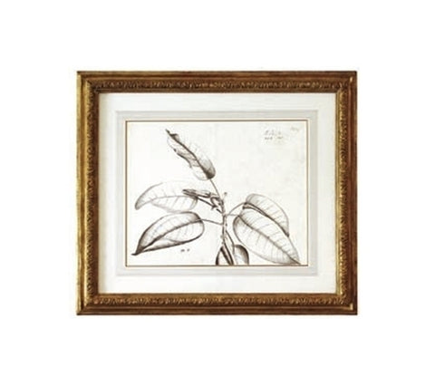 BOTANICAL PRINTS WITH GILT FRAMES