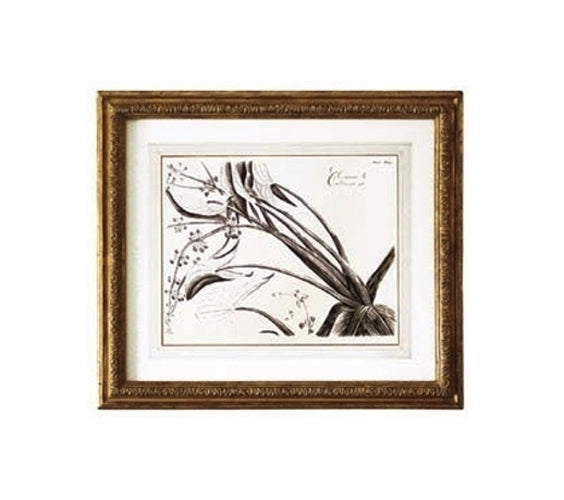 BOTANICAL PRINTS WITH GILT FRAMES