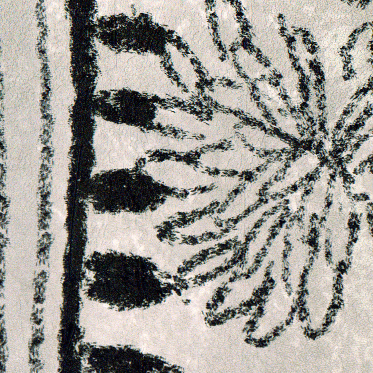 Disegno Poesie Vegetale - VP 961 02