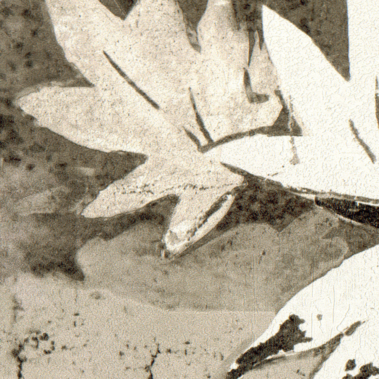 Retour Des Indes L'Illusion D'Un Clair Obscur - VP 962 03