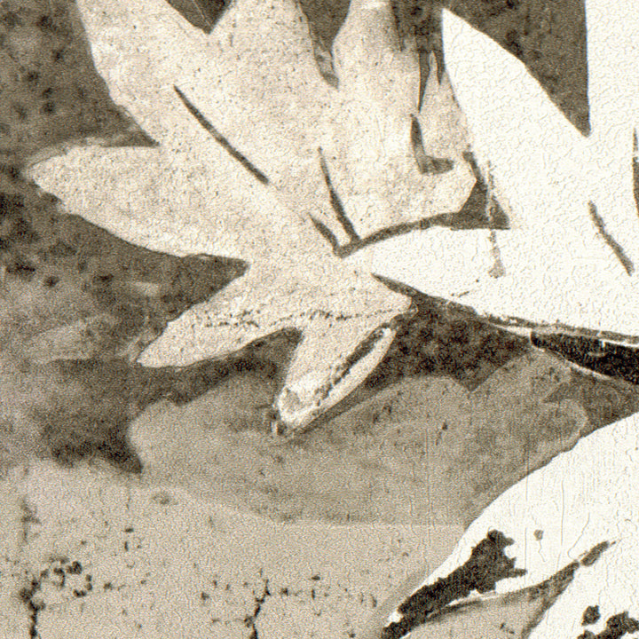 Retour Des Indes L'Illusion D'Un Clair Obscur - VP 962 03