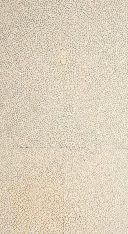Shagreen - Putty