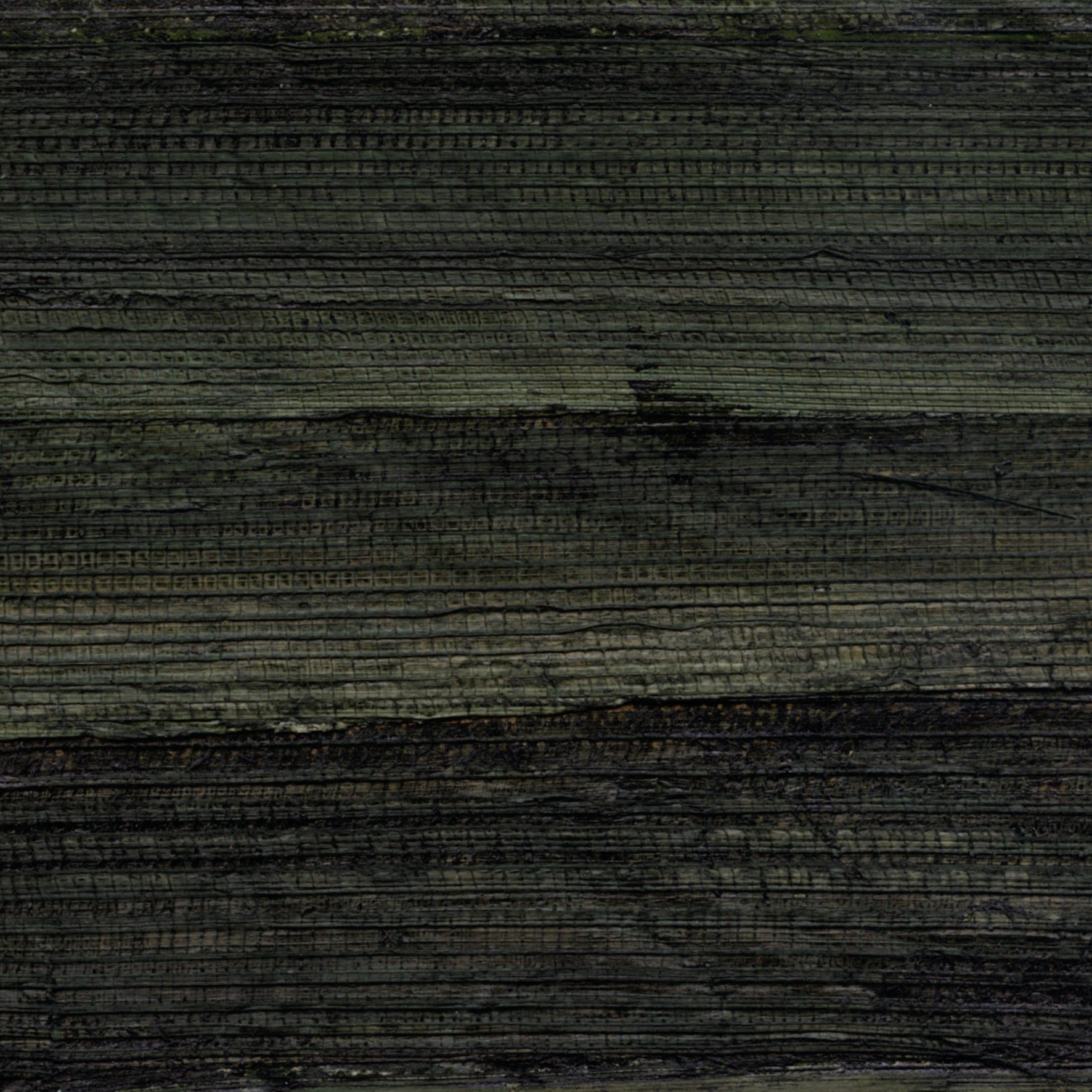 Banana Leaves Mural - Persimmon Banana Leaves