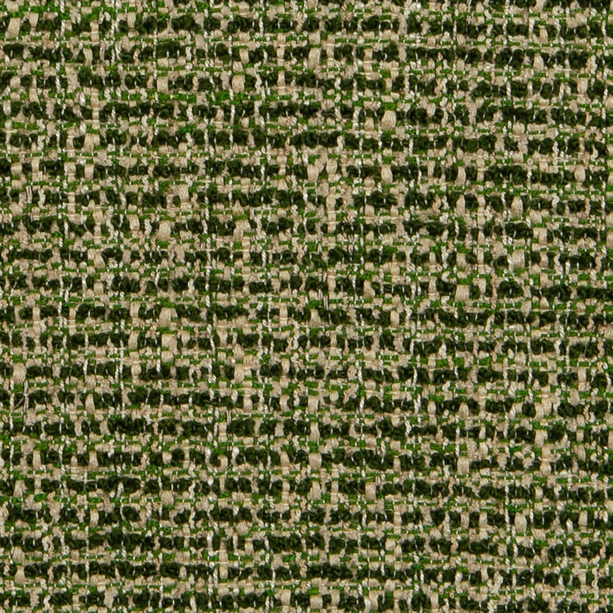 Verbier - Alpine Forest