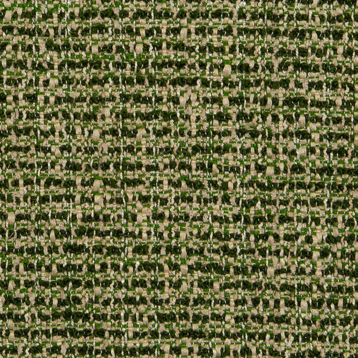 Verbier - Alpine Forest